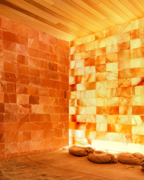 Himalayan Salt Bricks & Tiles